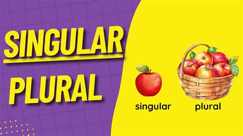 5 sınıf ingilizce singular plural